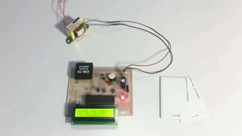 giphy (9).mp4